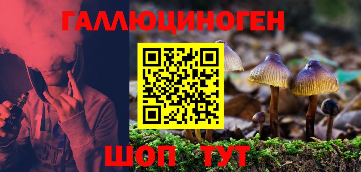 Галлюциногенные грибы Cubensis  Псилоцибиновые грибы Cubensis  Пенза  Вход с VPN 